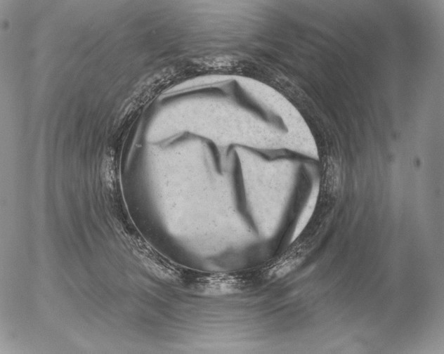 X0000053060612200508011916