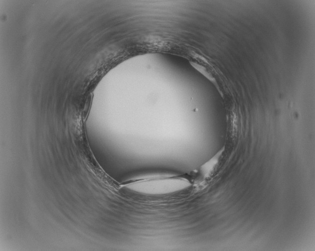 X0000053060613200508011916