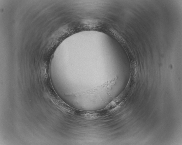 X0000053060615200508011916