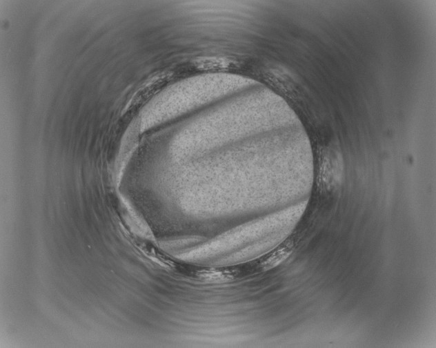 X0000053060616200508011916