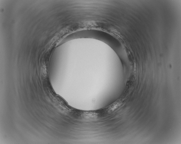 X0000053060617200508011916