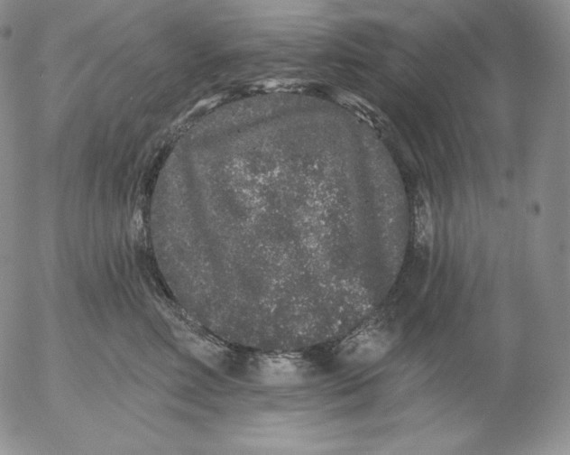 X0000053060618200508011915