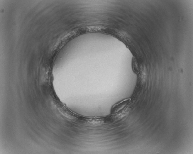 X0000053060619200508011915