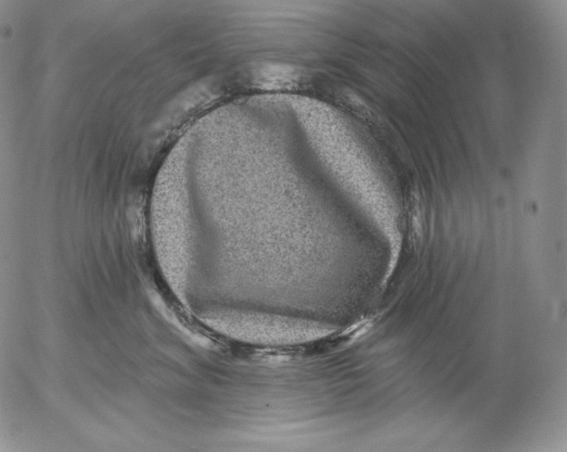 X0000053060620200508011915