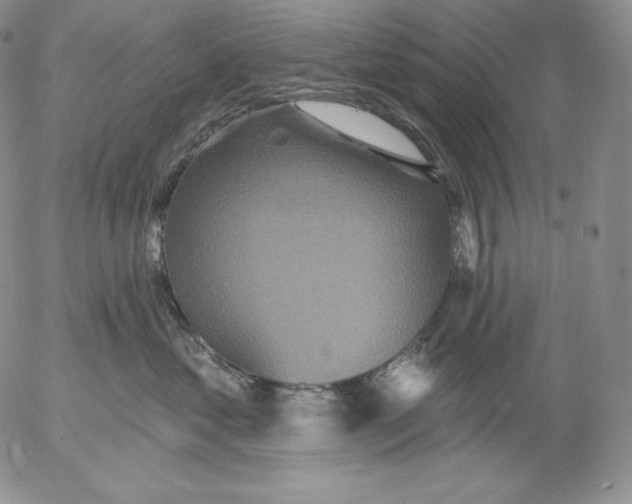 X0000053060621200508011915