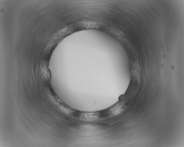 X0000053060622200508011915