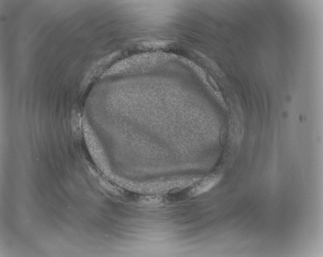 X0000053060624200508011915