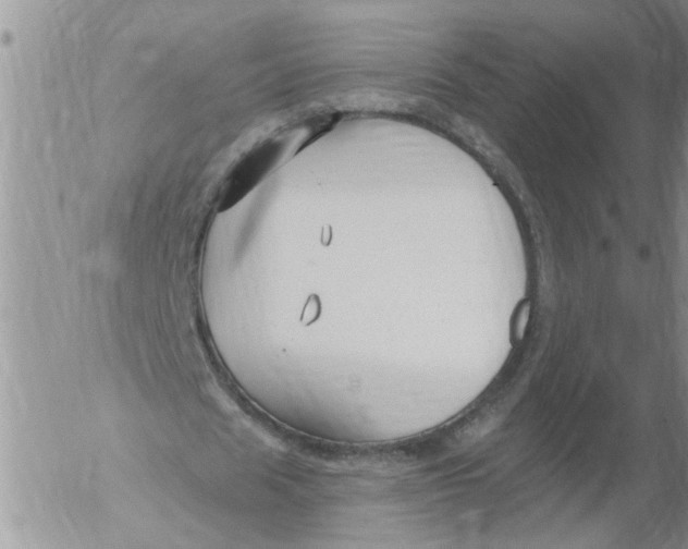 X0000053060625200508011915