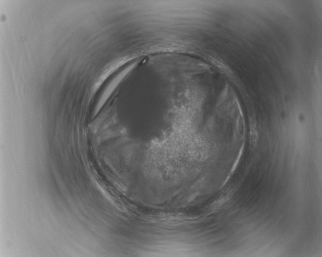 X0000053060626200508011915