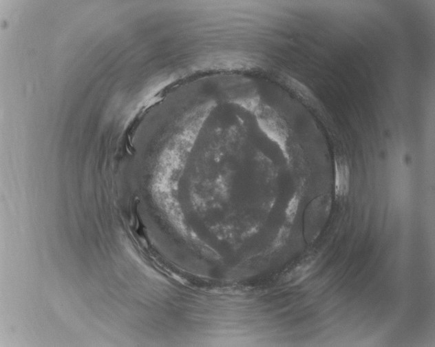 X0000053060627200508011915