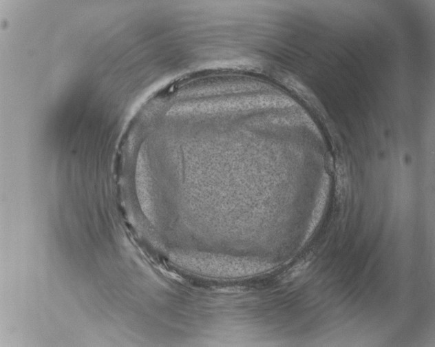 X0000053060628200508011915