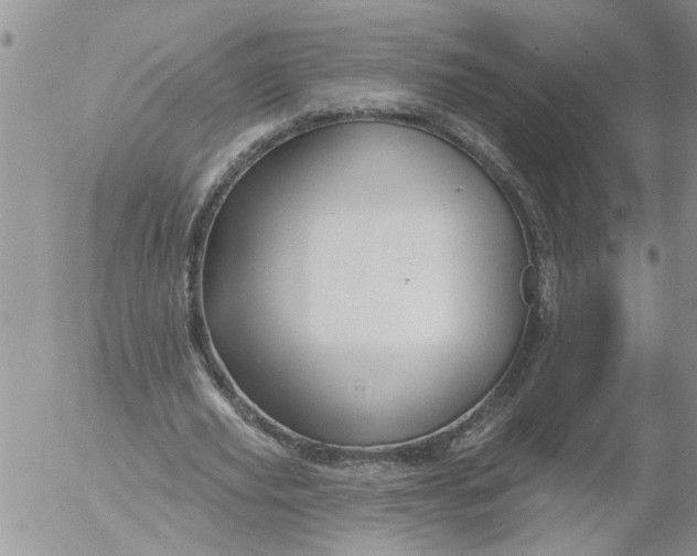 X0000053060629200508011915