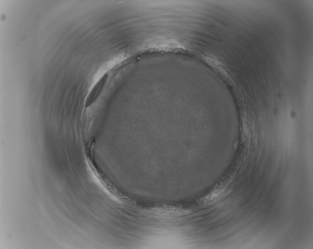 X0000053060630200508011915