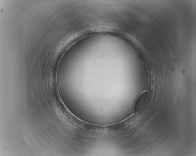 X0000053060631200508011915