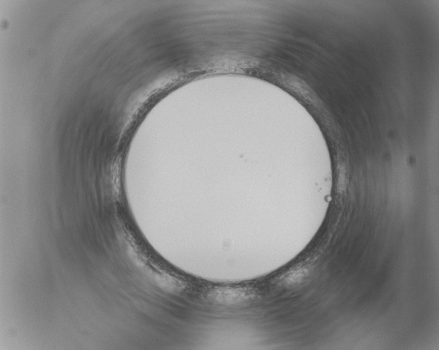 X0000053060632200508011915