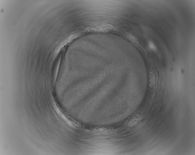 X0000053060634200508011915