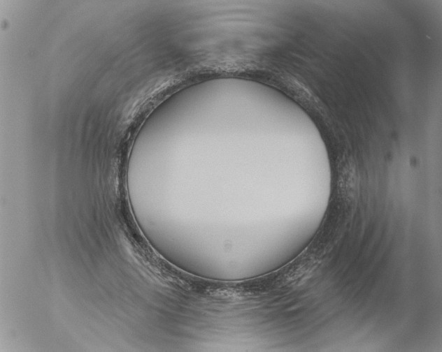 X0000053060635200508011915