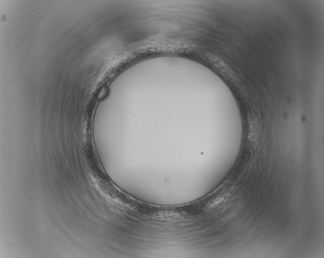 X0000053060636200508011915