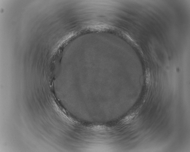 X0000053060637200508011915