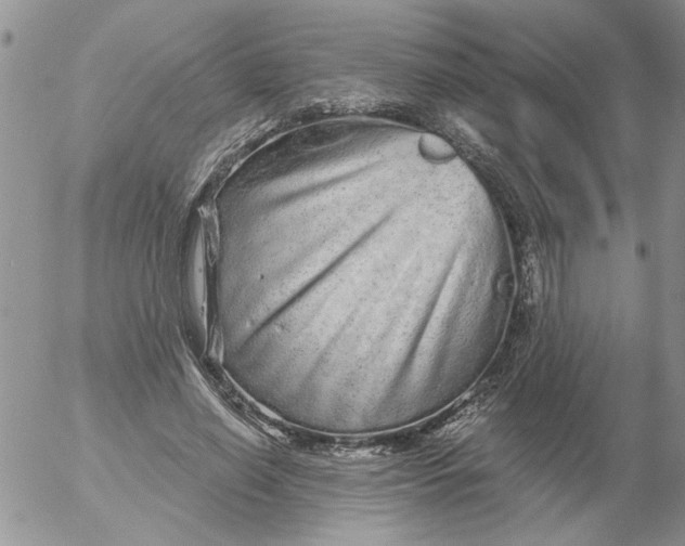 X0000053060638200508011915