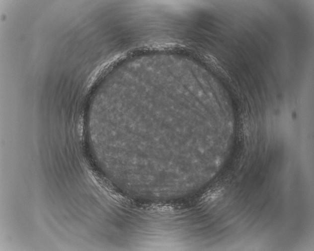 X0000053060640200508011915