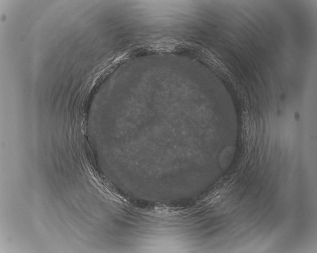 X0000053060641200508011915