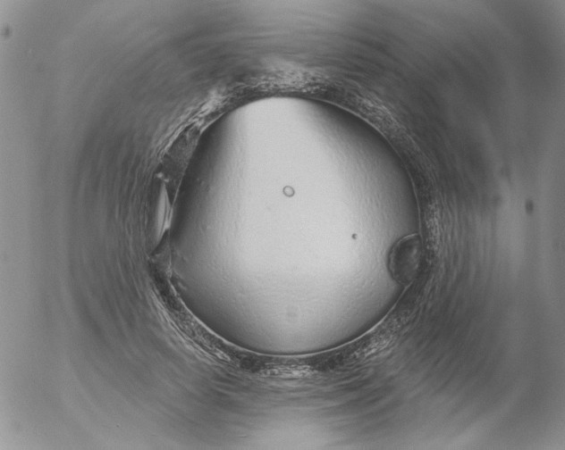 X0000053060642200508011915