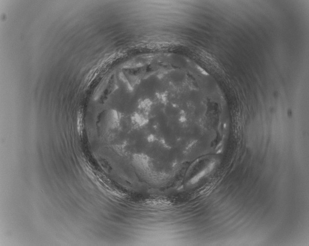 X0000053060644200508011915