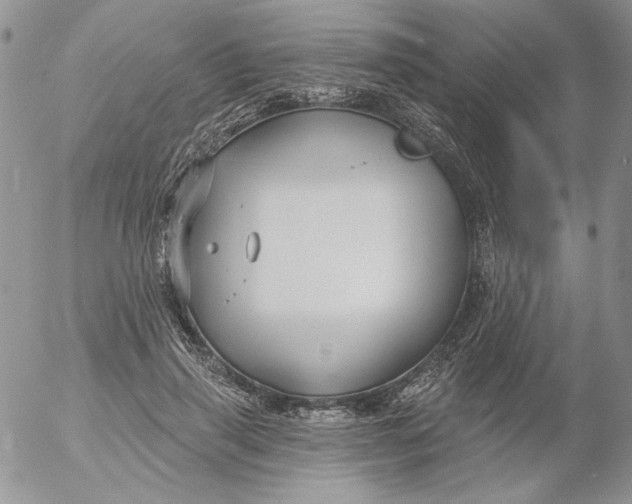 X0000053060645200508011915