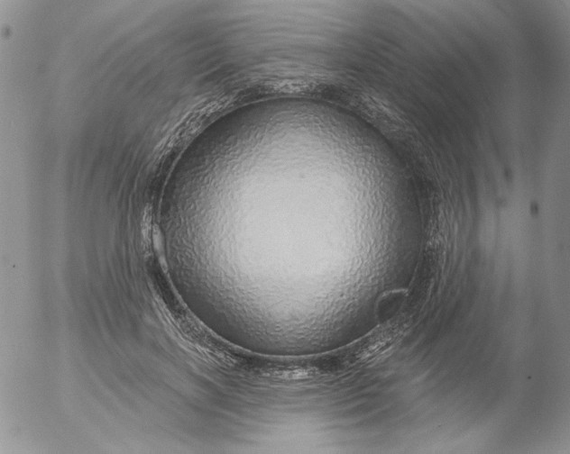 X0000053060646200508011915