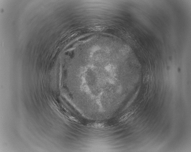 X0000053060647200508011915