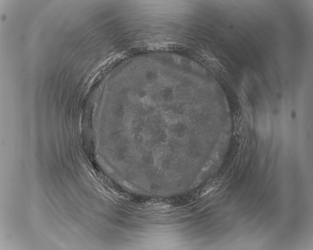 X0000053060648200508011915