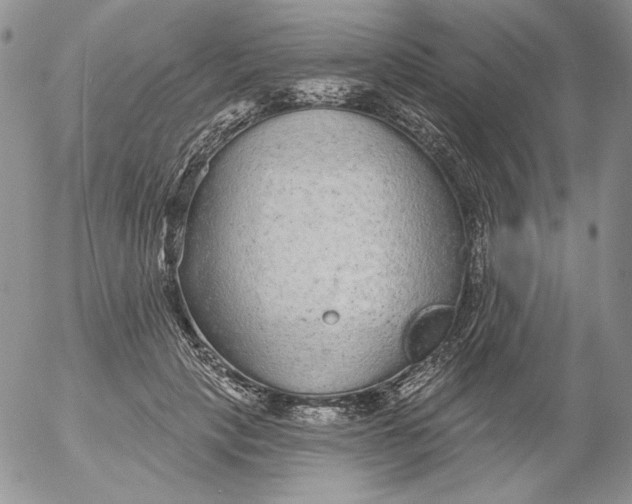 X0000053060649200508011915