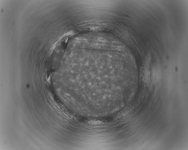 X0000053060650200508011915