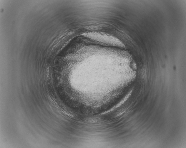 X0000053060652200508011915