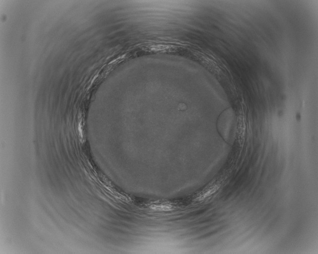 X0000053060653200508011915