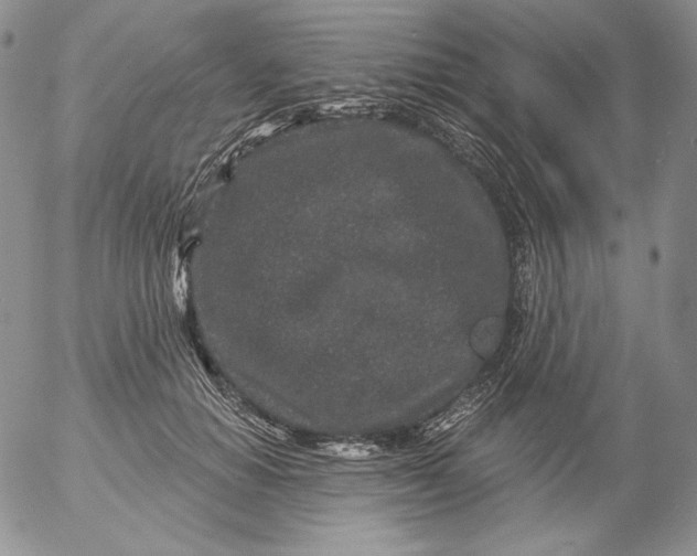 X0000053060654200508011915