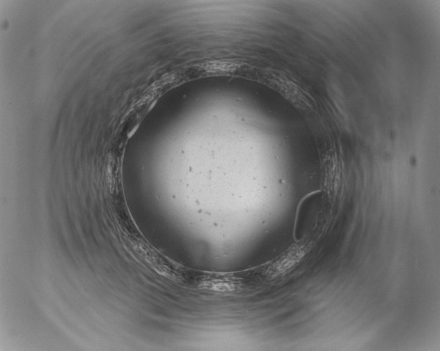 X0000053060655200508011915