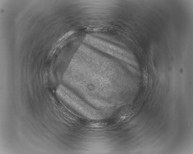 X0000053060657200508011915