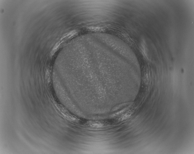 X0000053060658200508011915