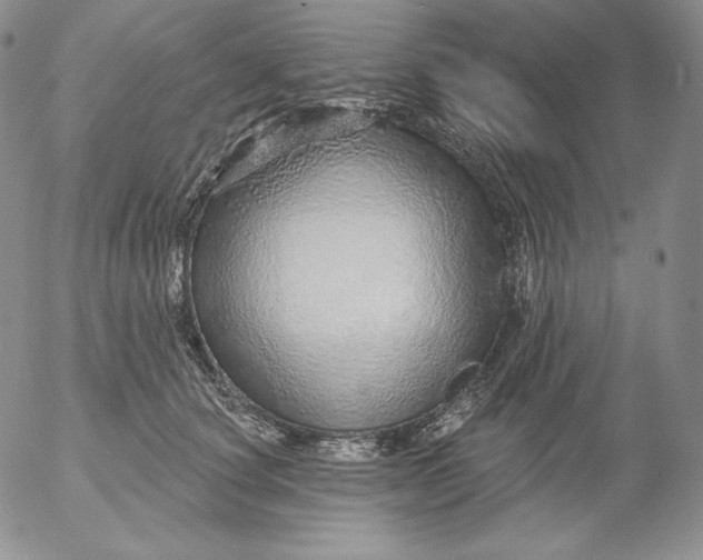 X0000053060660200508011915