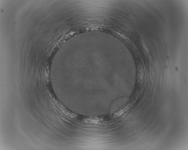 X0000053060661200508011915