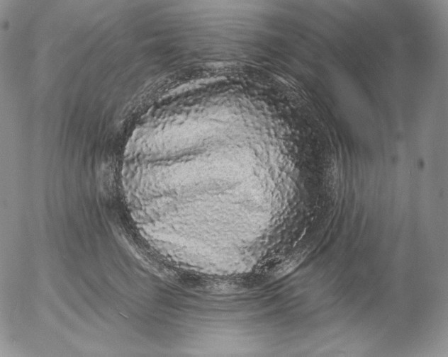 X0000053060662200508011915