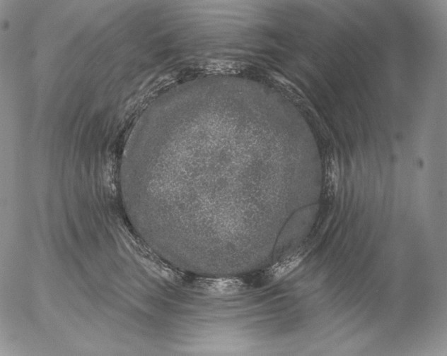 X0000053060663200508011915