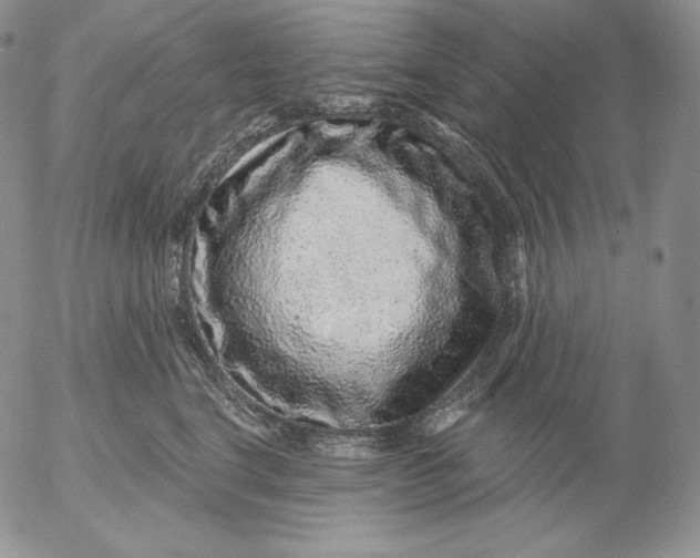 X0000053060664200508011915