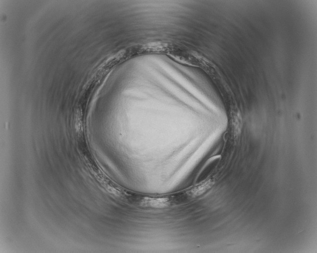 X0000053060665200508011915