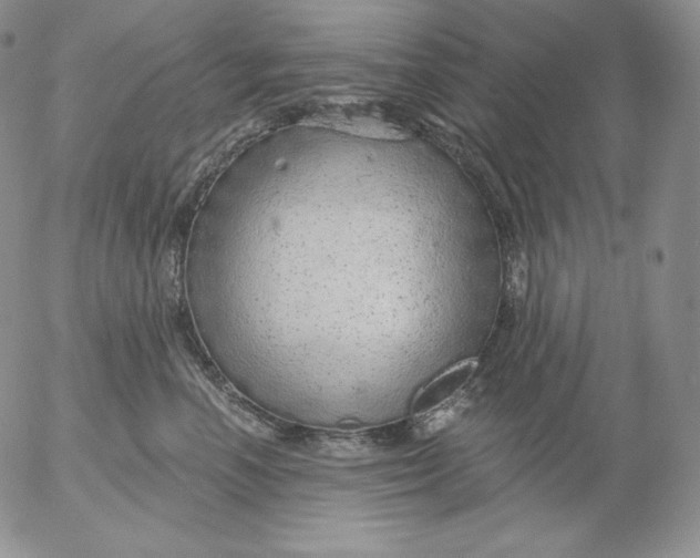 X0000053060666200508011915