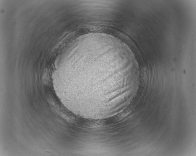 X0000053060667200508011915