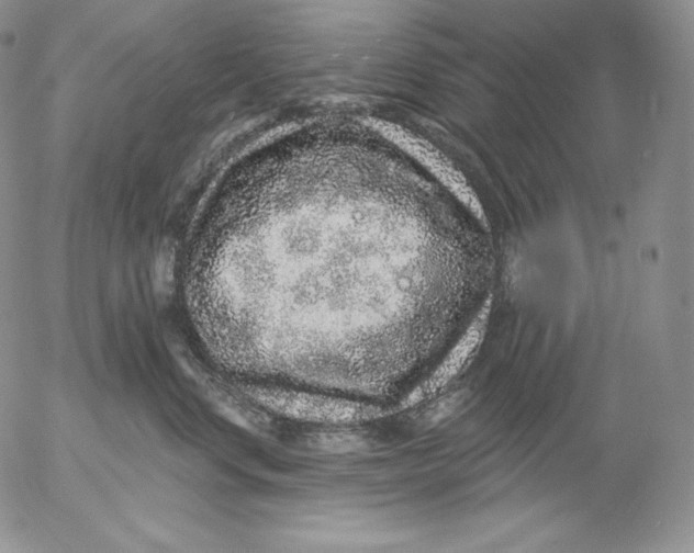 X0000053060668200508011915