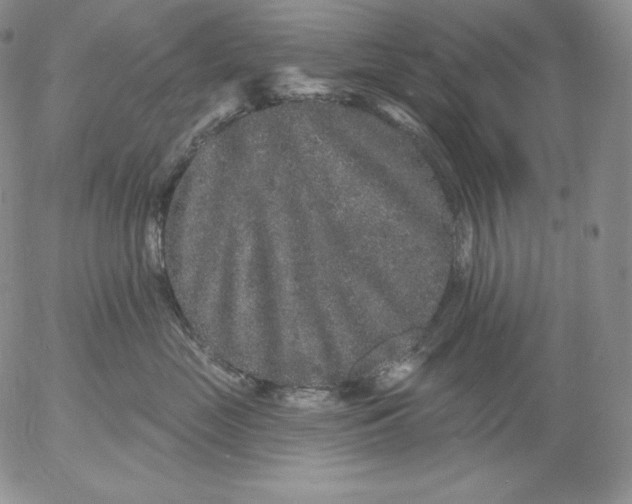 X0000053060669200508011915